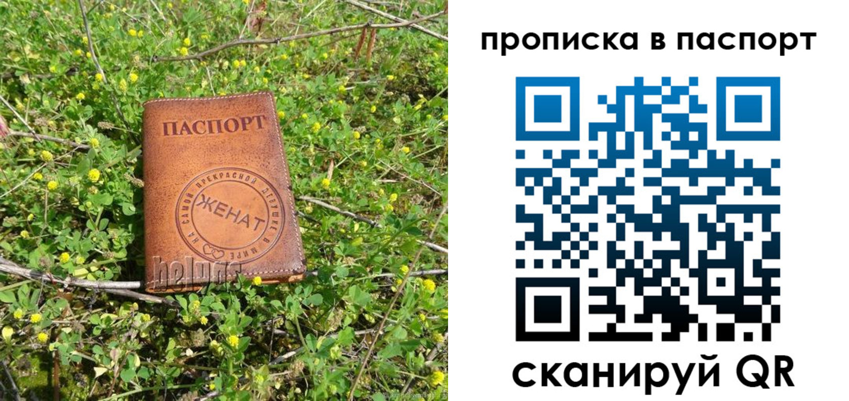 прописка для школы в Набережных Челнах